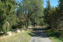 Durch den -Schwarzwald-